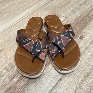 FRANCO Sarto snake print flip flop sandals